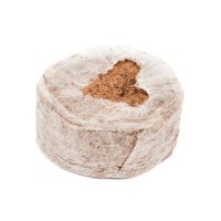 Kokos-Quelltoepfe_01.jpg Kokos-Quelltoepfe_01.jpg