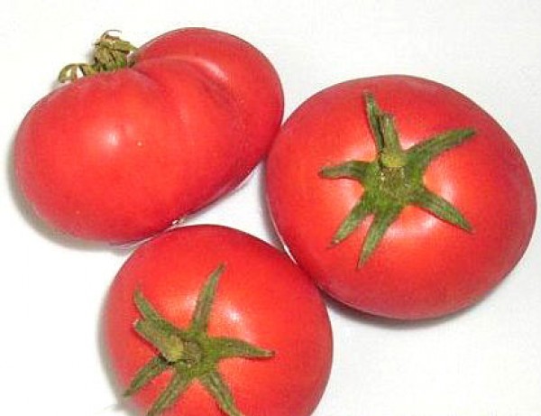 Harzfeuer Tomaten Samen