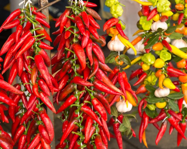 Chilis sind ein echtes Superfood