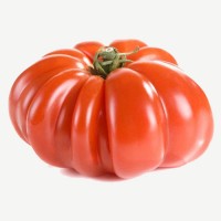 Costoluto Genovese Tomaten Samen Costoluto Genovese Tomaten Samen