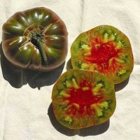 Ananas_Noire_Tomaten_Samen_1.jpg Ananas_Noire_Tomaten_Samen_1.jpg