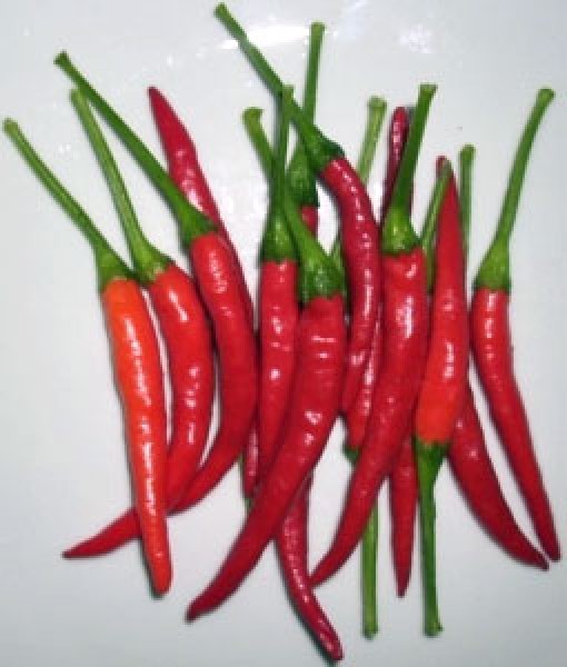 Thai Ladyfinger Chili Samen