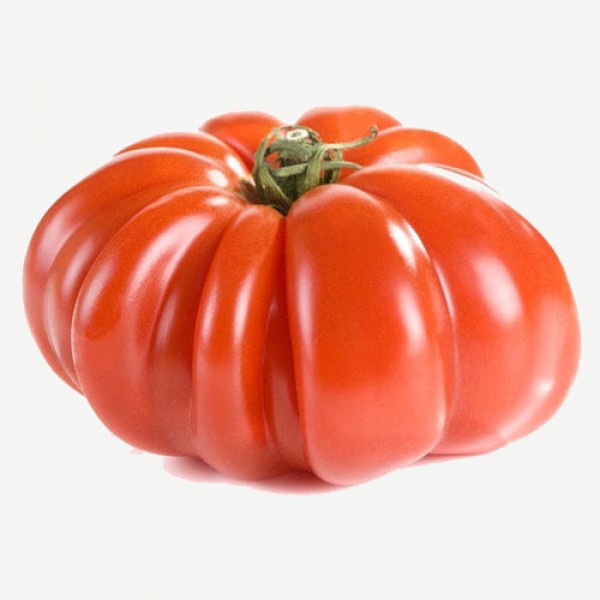 Costoluto Genovese Tomaten Samen