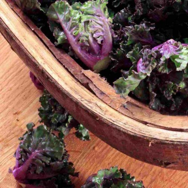 Rosenkohl Flower Sprout Samen