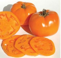 Valencia Tomaten Samen Valencia Tomaten Samen
