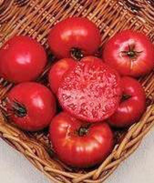 Mortgage Lifter Tomaten Samen