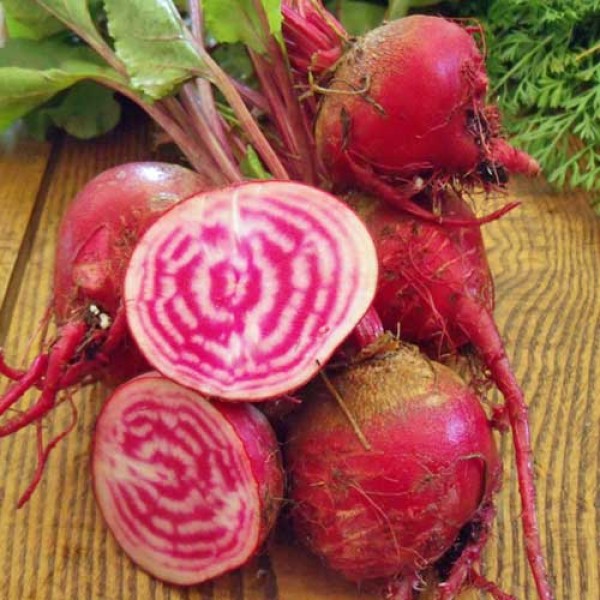 Rote_Beete_Chioggia_Samen_1.jpg