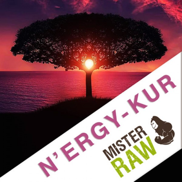 N`ERGY-Kur von Mr. Raw - Anleitung