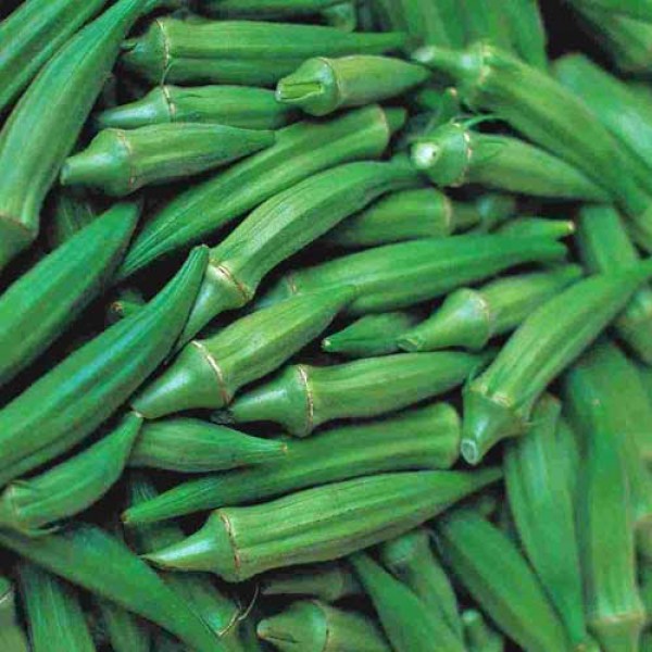 Okra_Clemsons_Spineless_Samen_1.jpg