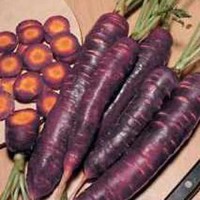 Karotte_Purple_Dragon_Samen_1.jpg Karotte_Purple_Dragon_Samen_1.jpg