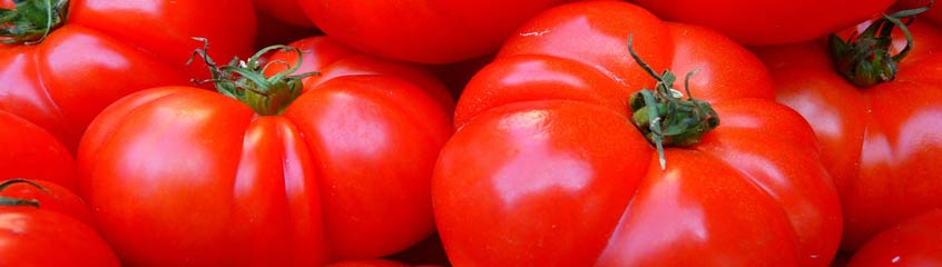 Fleischtomaten