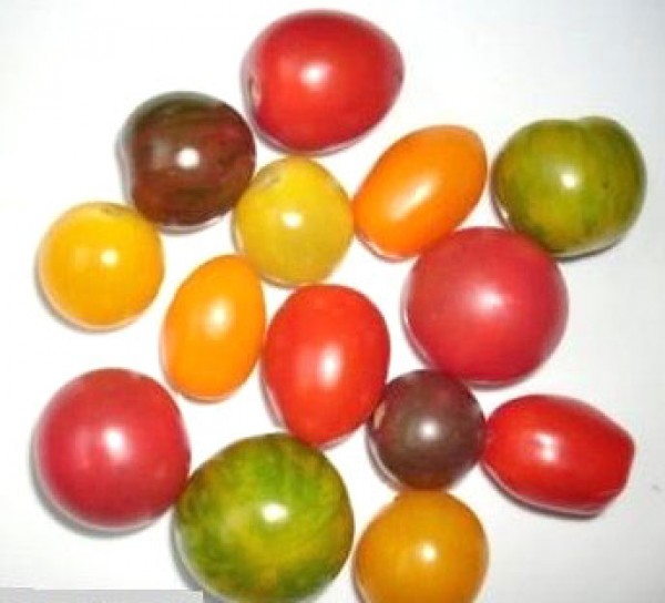 Tomaten Samen Mix