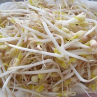 Mungobohnen_Samen_1.jpg Mungobohnen_Samen_1.jpg