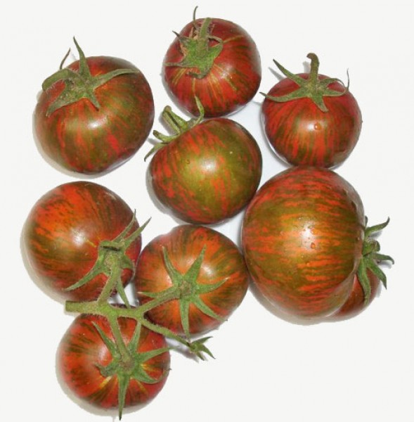 Black Zebra Tomaten Samen