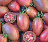 Purple Russian Plum Tomaten Samen Purple Russian Plum Tomaten Samen