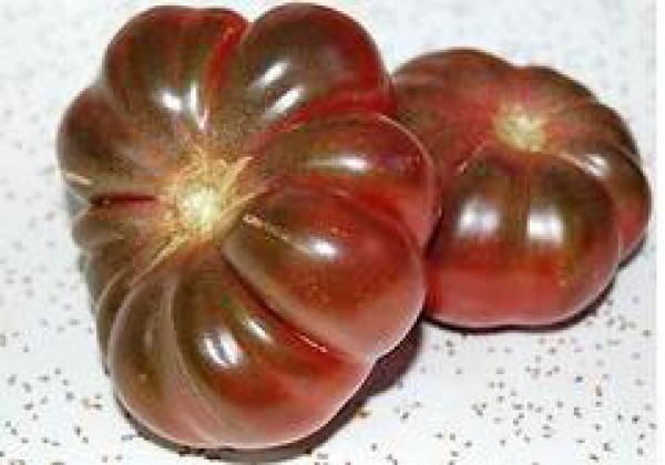 Purple Calabash Tomaten Samen