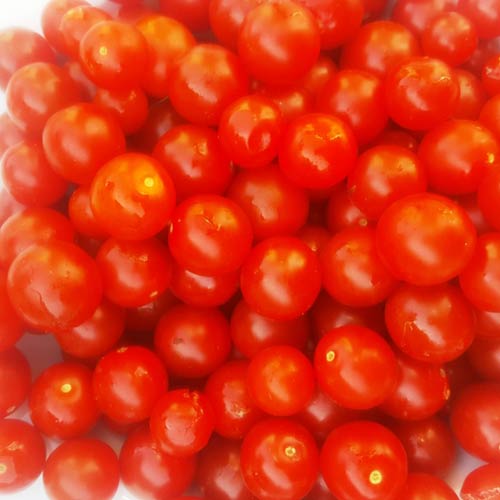 Rote Murmel Tomaten Samen - online kaufen bei Saatgut-Biene.de